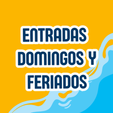 ENTRADA DOMINGOS Y FERIADOS